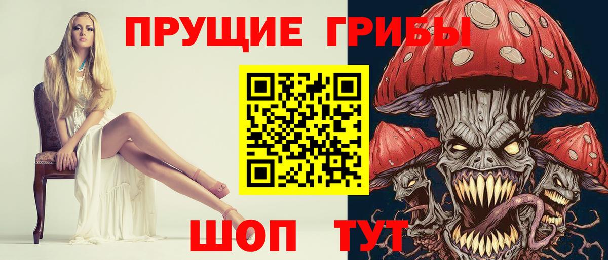 Грозный  Псилоцибиновые грибы прущие грибы  где купить   Вход с VPN  Галлюциногенные грибы MAGIC MUSHROOMS 
